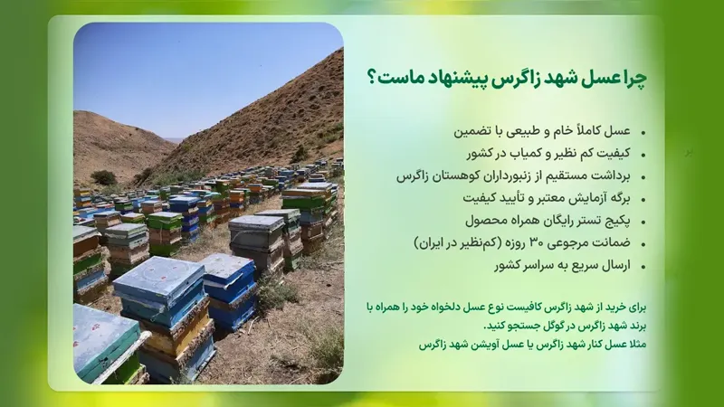 خرید عسل طبیعی شهد زاگرس